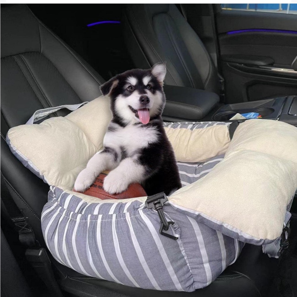 Pet car seat/booster